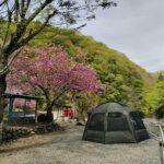 月夜野キャンプ場の全景