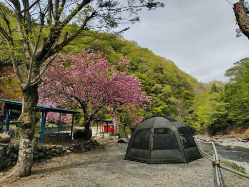 月夜野キャンプ場の全景