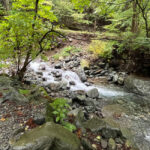 椿荘オートキャンプ場