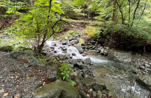 椿荘オートキャンプ場
