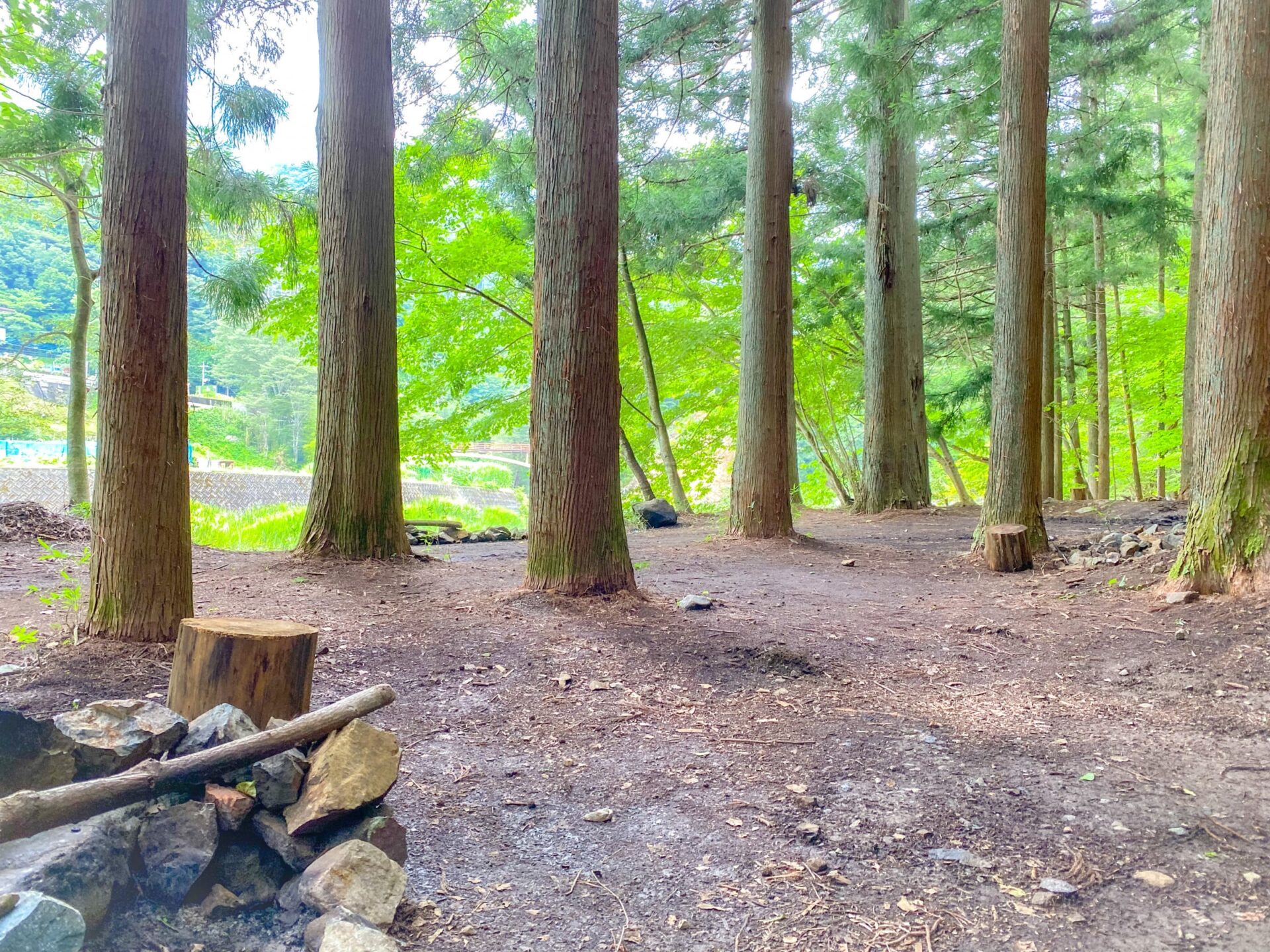 WOODSMAN CAMPGROUND